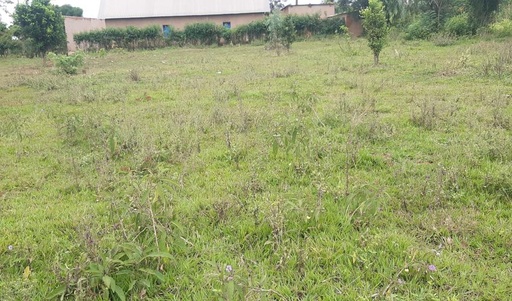 Land for sale in Bugesera access on airport of Rwanda
